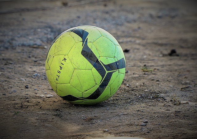 西方明星的 西方明星的