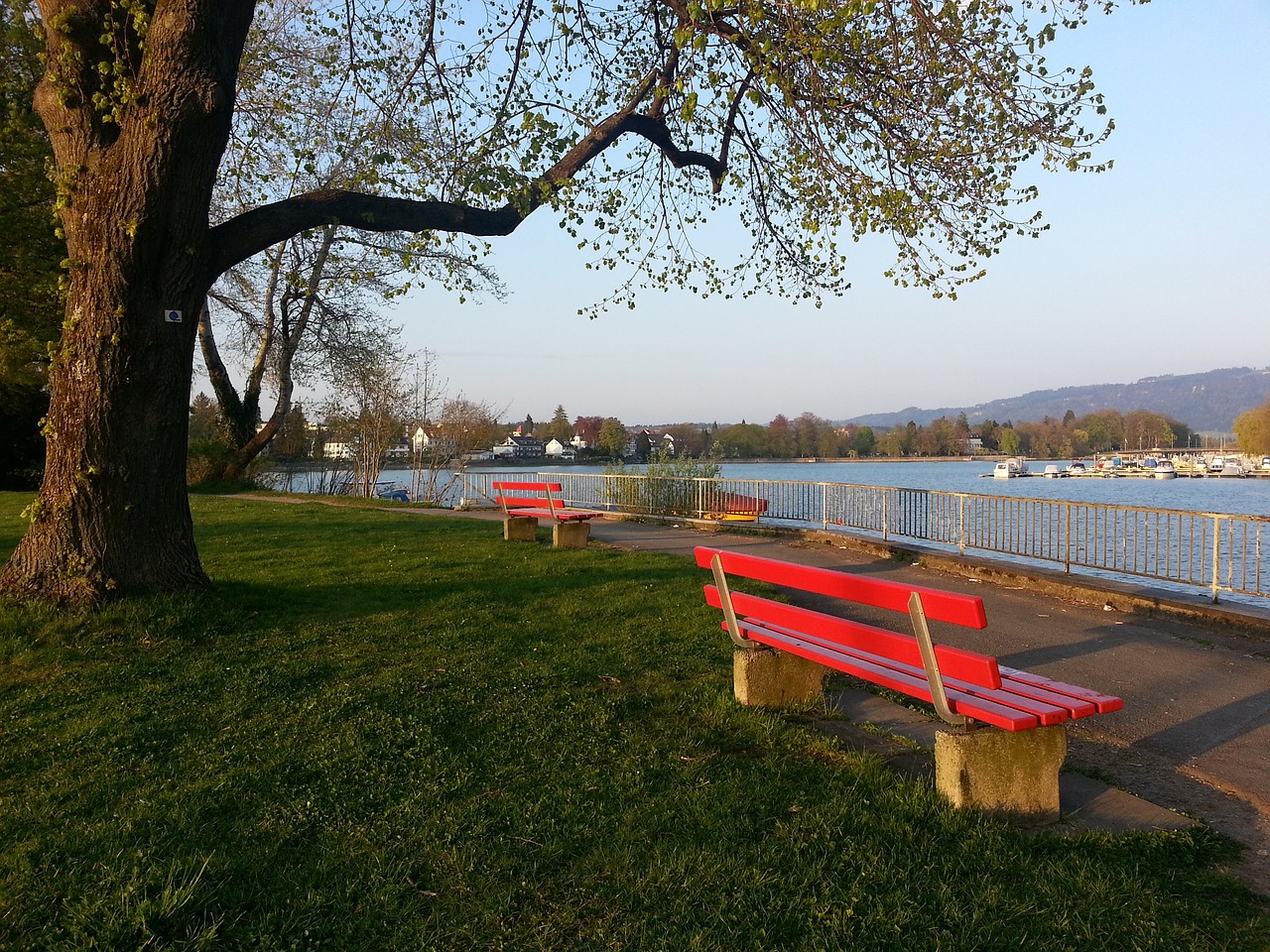 哈登与队友 哈登与队友