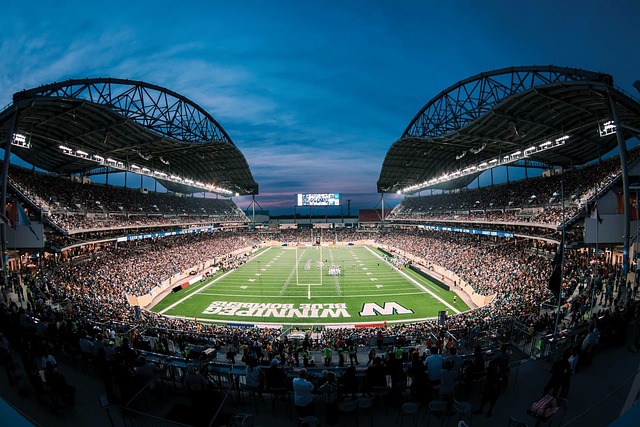 的联盟中 的联盟中