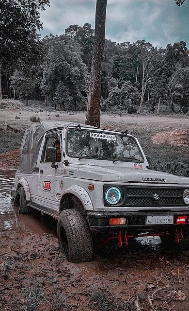 不小的震动 不小的震动